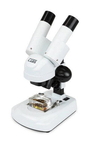 Microscopio stereo per