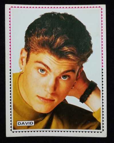 Figurina david panini - david,
