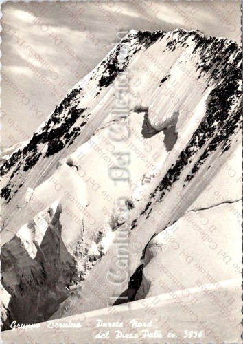 1958 gruppo bernina parete - gruppo,