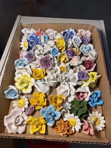 Bbb lotto fiori - bbb, 50+