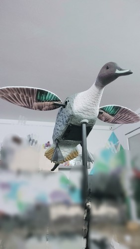 Stampo anatra decoy ali - stampo,