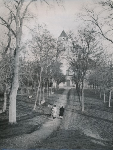 Saint florent vieil 1950 - saint-florent-le-vieil, c.