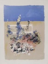 GIANCARLO CAZZANIGA: Litografia 69x48 in Cornice, Firmata, Numerata. STUPENDA!!!