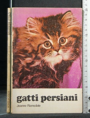 Gatti persiani jeanne - persiani.,