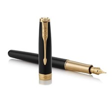 Penna stilografica Parker