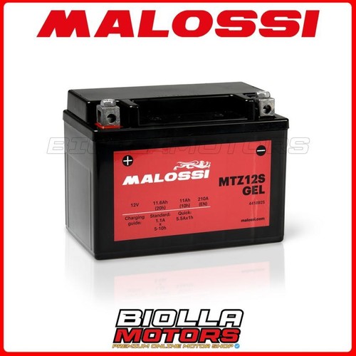 Ytz12s batteria malossi - ytz12s-bs,