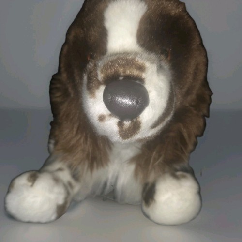 Douglas springer spaniel 2013 - douglas,