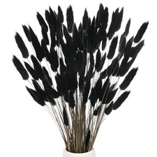 Confezione 120 Erba Coda di