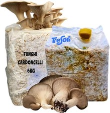KIT COLTIVAZIONE FUNGHI CARDONCELLI PLEUROTUS ERYNGII 2 BALLETTE DA 3 KG