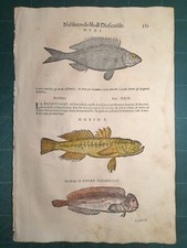 MATTIOLI MATTHIOLI Erbario a