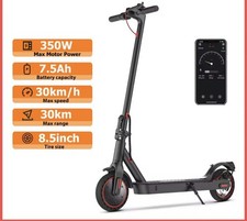 350W Folding Electric Scooter