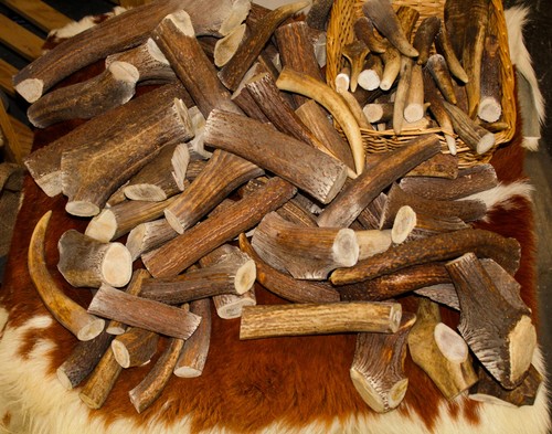Corna cervo pezzi snack - di,