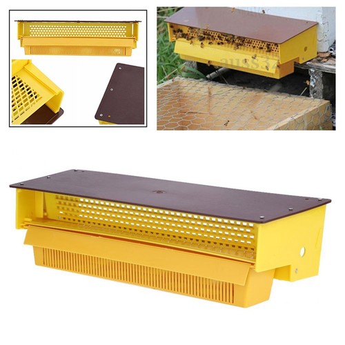 Apicoltura trappola per - apicoltura,