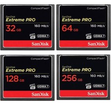 Scheda flash compatta SanDisk