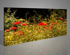 Quadro stampa con papaveri