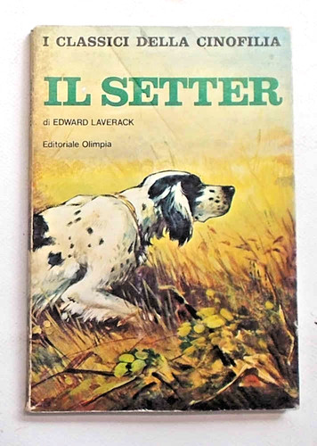 Laverack setter 1977 - il,