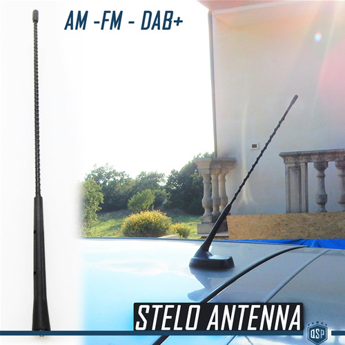 Antenna auto ricambio nera - auto,
