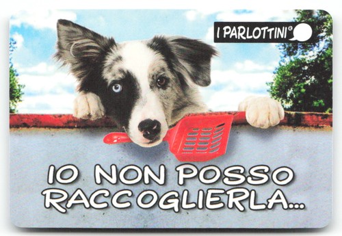 T643 amici cucciolotti 2020 - cucciolotti,