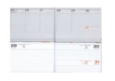 Agenda Cangini Filippi Slim