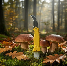 Coltello Chiudibile Fox da