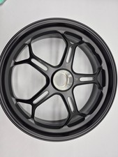 Cerchio posteriore Marchesini