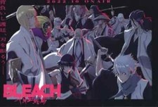 BLEACH Giorno Hitsugaya