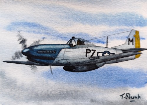 Acquerello originale mustang - -,