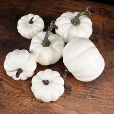 12 Pcs Zucche Ornamentali Da Dipingere Centrotavola Autunnale Zucca Fai Te