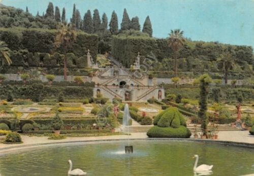 Cartolina collodi villa - cartolina,