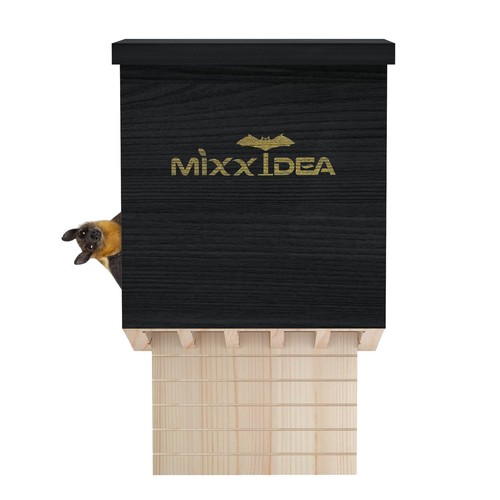 Bat house box - bat,