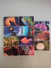 11 Schede telefoniche nuove