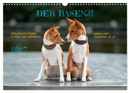 Der basenji wandkalender 2027 - der,