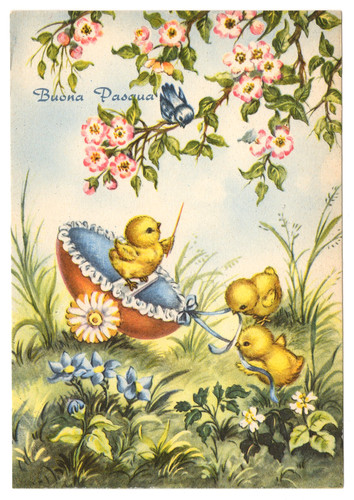 Buona pasqua pulcini con - -,