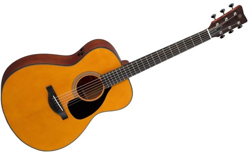 Chitarra elettrica acustica
