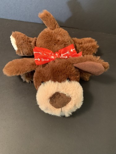 Celebra san valentino floppy - san,