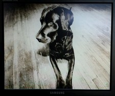 Samsung SyncMaster 710TM 17''