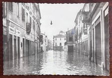 CARTOLINA D' EPOCA-ADRIA (RO) "ADRIA ALLUVIONATA" VIAGGIATA