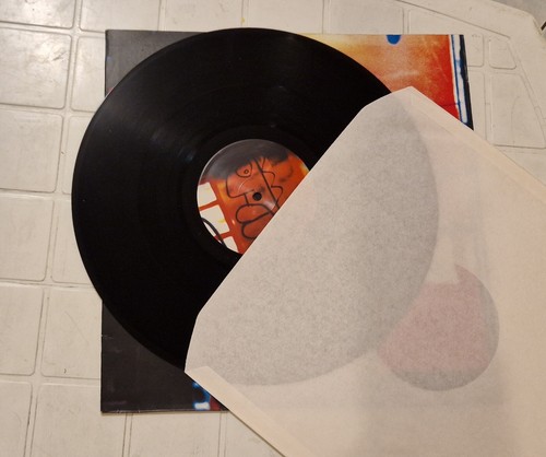 Disco vinile the fly - vinile,