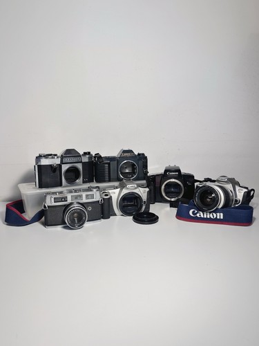 Lotto fotocamere reflex - lotto,