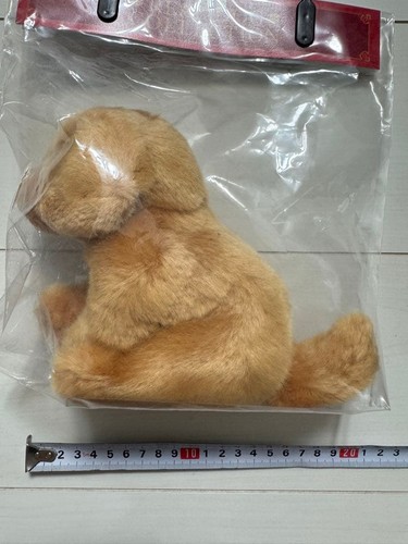 Regalo golden retriever - golden,