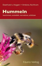 Hummeln - bestimmen