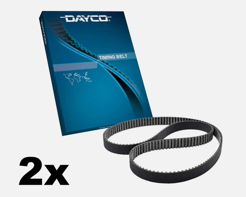 Dayco 941029 cinghie - 2x,