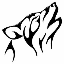 Kit 2 adesivi tuning LUPO