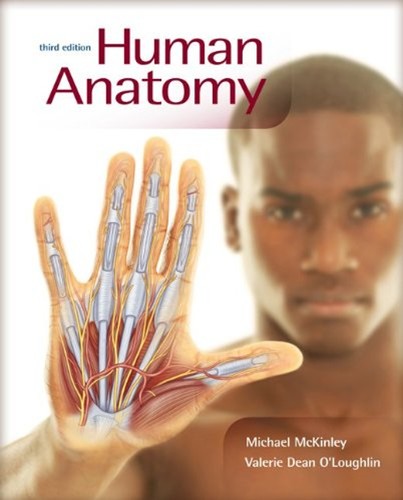 Human anatomy hardcover - human,