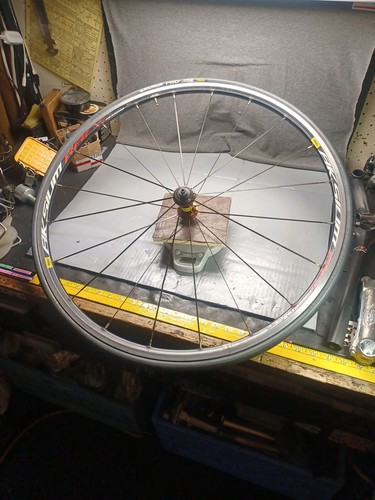 Mavic aksium race black hub - race,