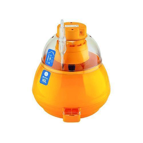 Incubatrice covatutto l - incubatrice, l'