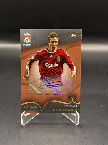 Fernando torres auto 40 - torres,