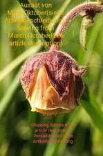 Rach chiodi di garofano, Geum