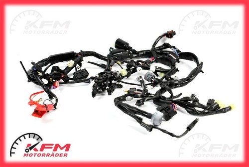 Cablaggio principale yamaha - cablaggio,