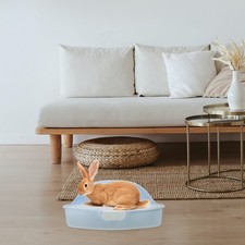  Angolo Toilette Per Animali